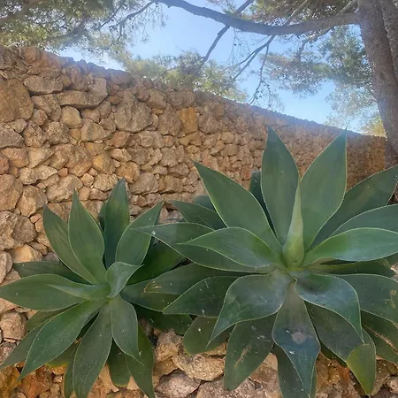 Feriehus Spacious, Beautiful Villa, Large Garden And Pool, From Santa Luċija