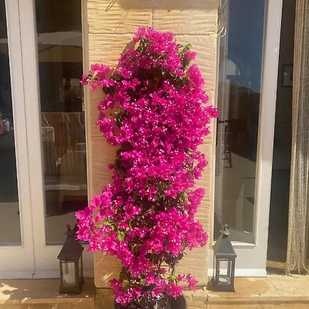 Spacious, Beautiful Villa, Large Garden And Pool, From Dom wakacyjny Santa Luċija